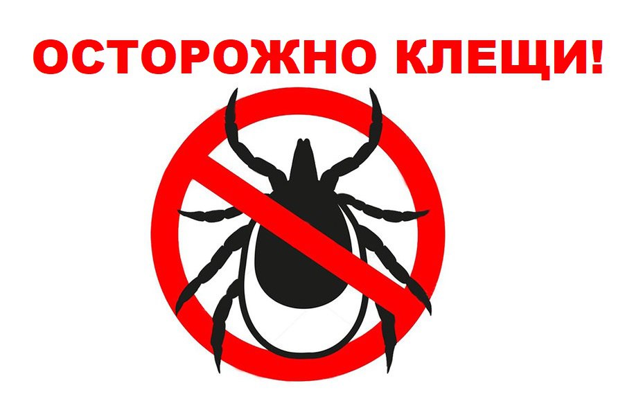 Меры безопасности от клещей